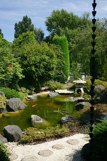 belo jardim japonês - footpath tree japan stepping stone - fotografias e filmes do acervo