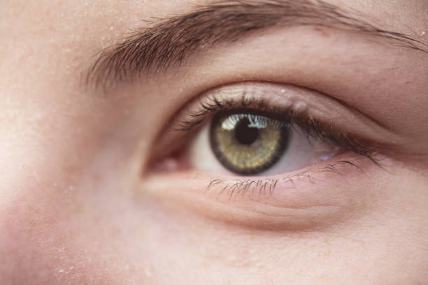 istock Macro image of female human eye 913839880