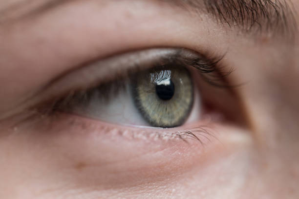 istock Macro image of female human eye 913840168