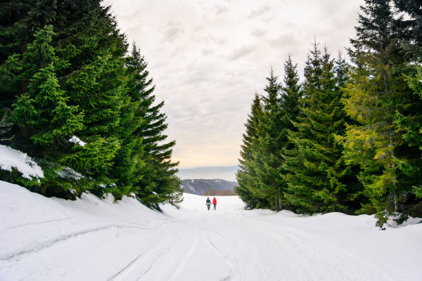 Couple hiking on the snow covered mountain, winter active lifestyle