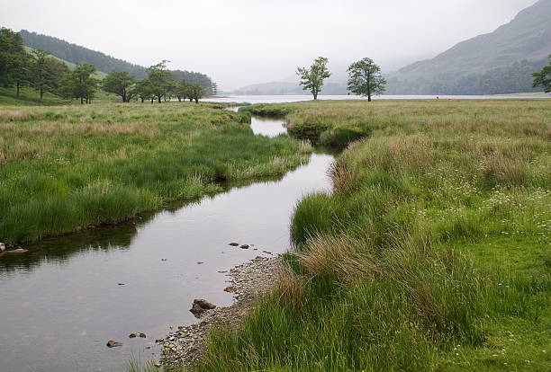 istock View Towards Buttermere from Peggy's Bridge 91384105