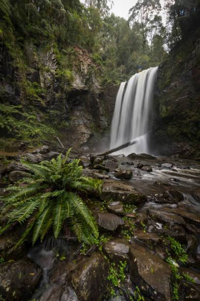 istock Hopetoun Falls in Australia 913843754