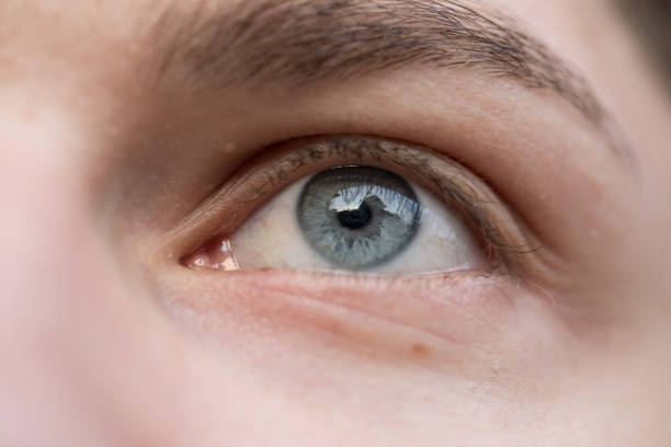istock Close up of male eye 913845984