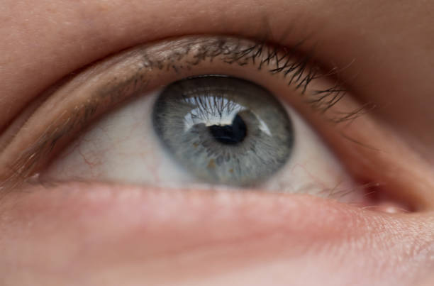 istock Close up of male eye 913846574