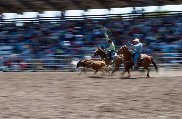 Team roping rodeo action