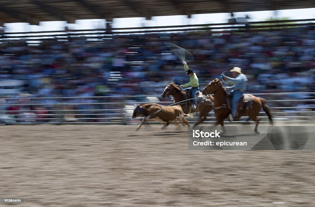 Cowboys Bezerro roping em um Rodeio em Montana - Royalty-free Montana Foto de stock