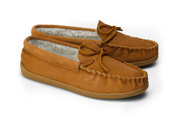 istock a pair of suede slippers 913847520