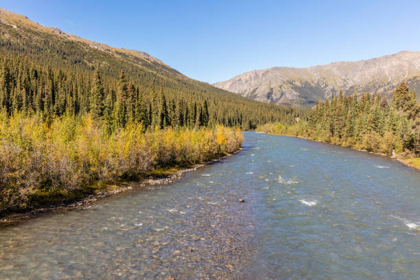 istock Sanctuary River Denali National Park 913849634