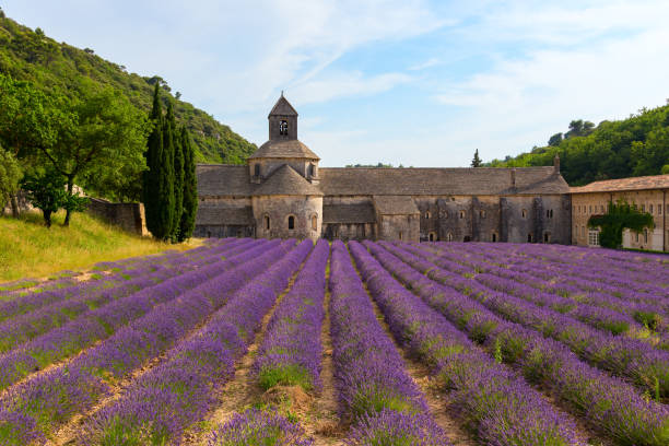 An ancient monastery Abbaye Notre-Dame de Senanque ( Abbey of Senanque). Vaucluse, France