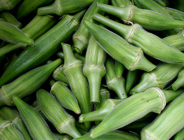 FRAIS Okra - Photo