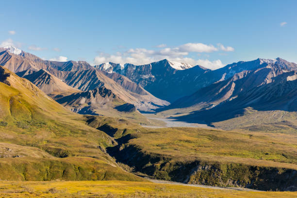 istock Scenic Denali National Park Landscape 913855560