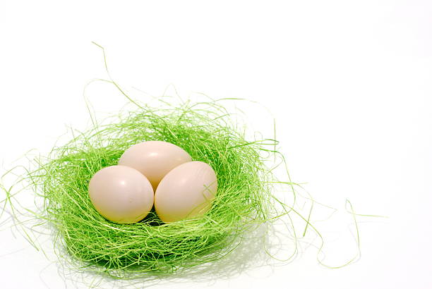 istock Pale eggs in a green nest 91385859