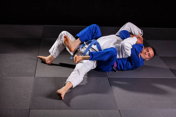 브라질 유 술 무술 - mixed martial arts combative sport jiu jitsu wrestling 뉴스 사진 이미지