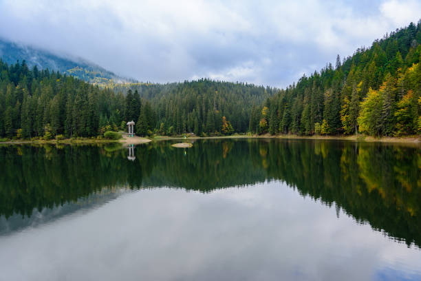 vista do lago de alta altitude de synevir por dia de outono. a floresta de queda de folha é refletida na água do lago. - karpas - fotografias e filmes do acervo