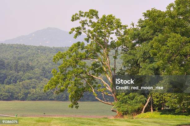 Montanha Resort - Fotografias de stock e mais imagens de Ao Ar Livre - Ao Ar Livre, Appalachia, Asheville