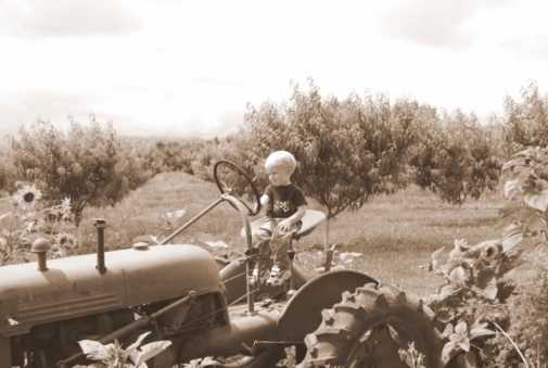 Young boy driving an antique tractor, sepia toned