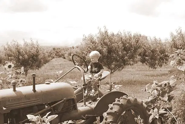 Young boy driving an antique tractor, sepia toned