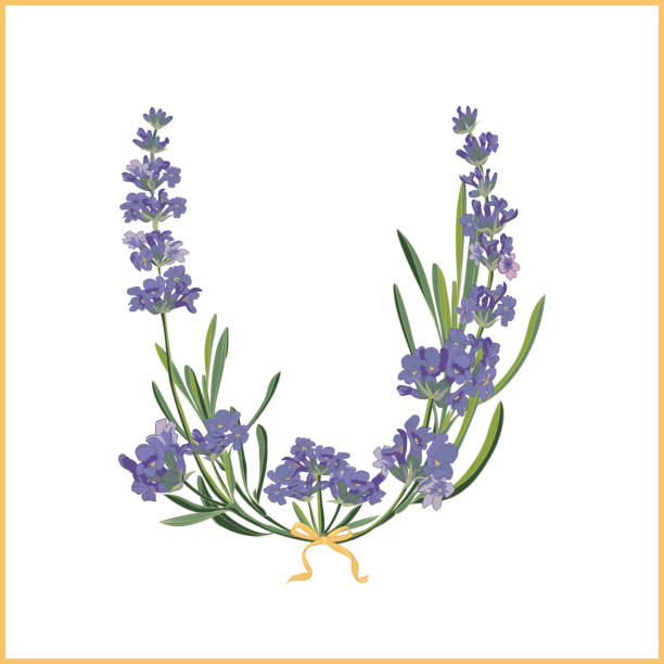Letter U Monogram Retro Sign Alphabet With Lavender Flower Initial
