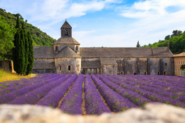istock Abbey of Senanque 913865368