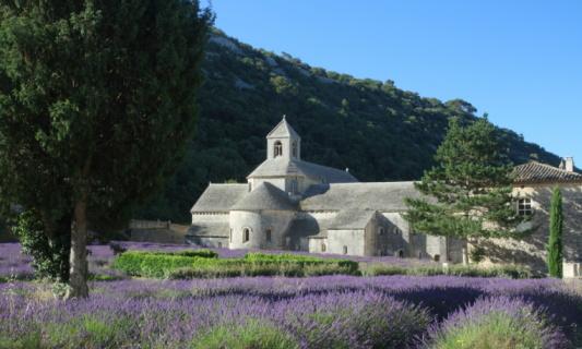 Senanque Abbey in Provence with lavender fields in Summer. Vaucluse, Provence-Alpes-Cote-d'Azur region of France