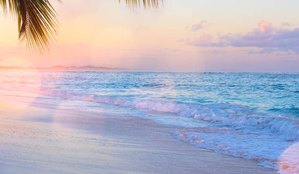 istock Art Beautiful sunrise over the tropical beach 913869782