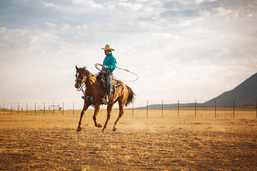 Caballo vaquero y Roping temprano en la mañana en un rancho de Utah photo