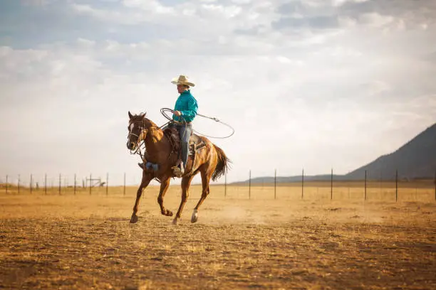 Photo of Cowboy Riding and Roping In the Early Morning on A Utah Ranch