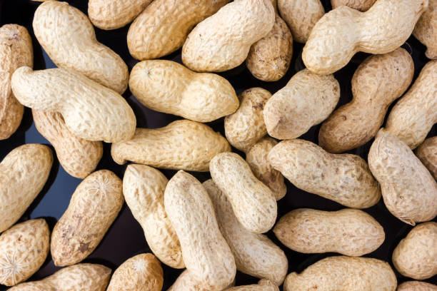 istock Fried peanuts in shell. Peanut in shell on a black background close-up. 913872614