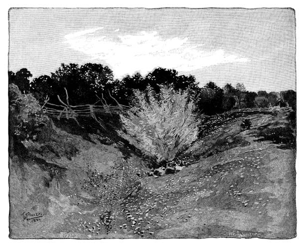 Deep Cut Battlefield in Manassas Virginia Deep Cut Battlefield in Manassas Virginia - Scanned 1886 Engraving manassas stock illustrations