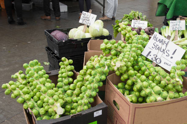 fresh raw brussels sprouts on the market place