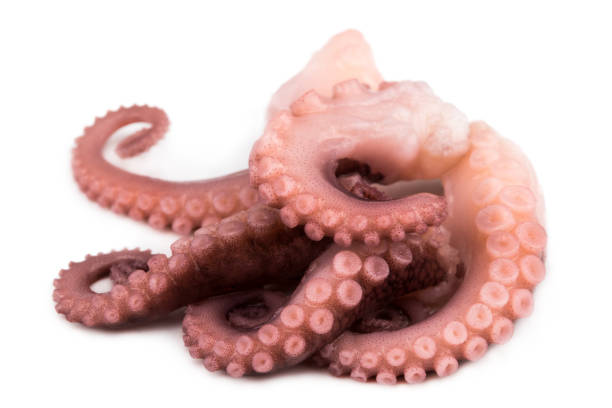 istock tentacles of octopus isolated on white background 913876578