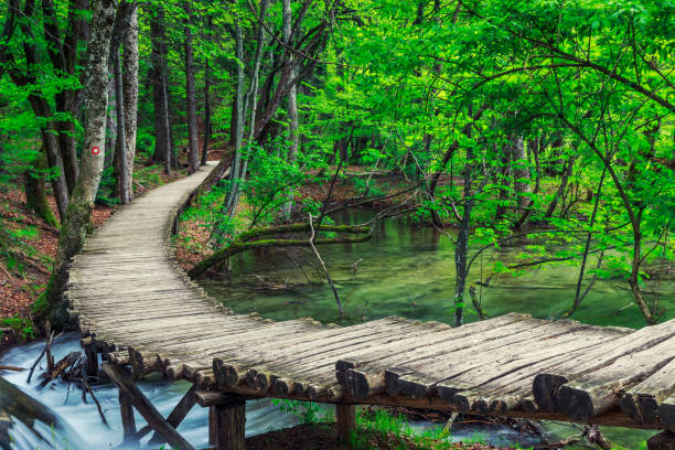 istock Wooden path in National Park in Plitvice 913880082