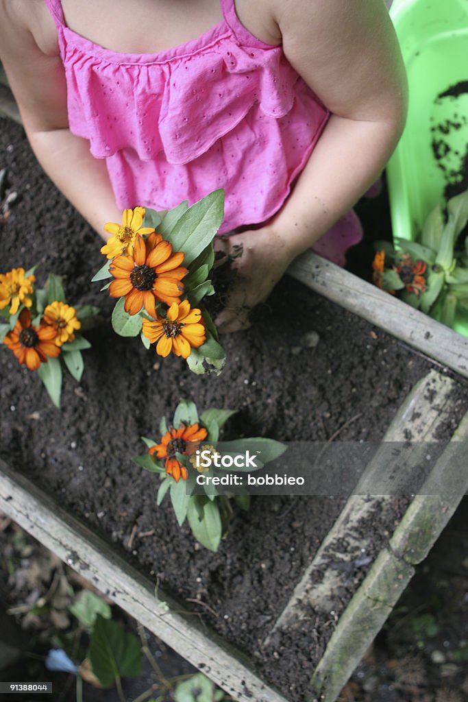 Gros plan de fillettes mains planter des fleurs - Photo de De petite taille libre de droits