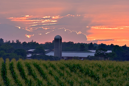Silhoutte of silo and barn with sun setting in the distance.