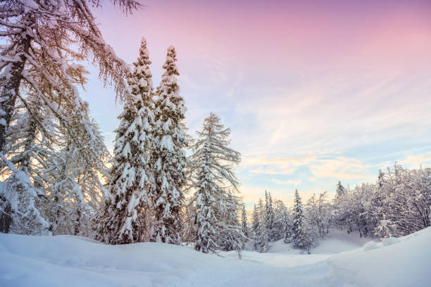 istock Winter landscape near Vogel ski center 913886878