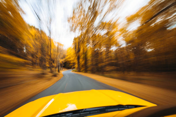 istock on the road in the autumn road 913887064