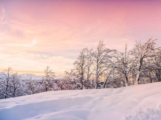 istock Winter landscape near Vogel ski center 913895718
