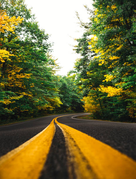 istock spring road in new england 913895816