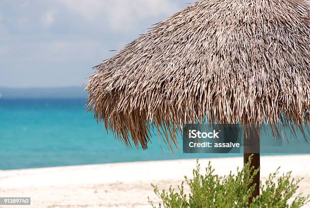 Tomar El Sol En Una Playa De Arenas Blancas De La Pantalla 1 Dólar Imagen Foto de stock y más banco de imágenes de Agua