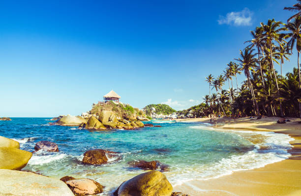 istock Tayrona national park in Colombia 913898372