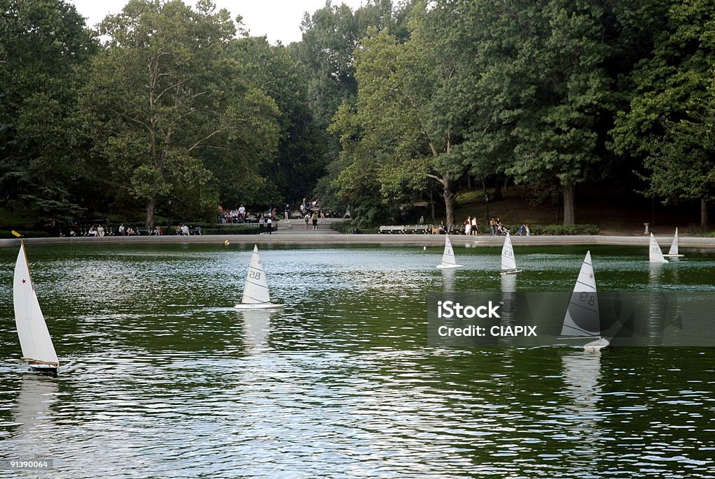 Central Park, Teich in New York City, USA - Lizenzfrei Baum Stock-Foto