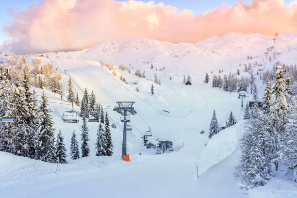 istock Ski center of Vogel 913900728