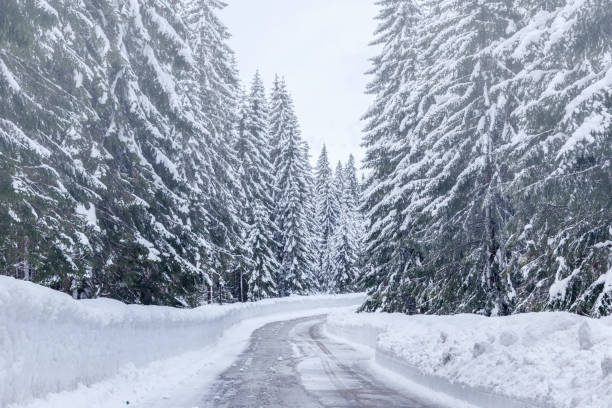 istock Snowy winter road in Julian Alps 913901400