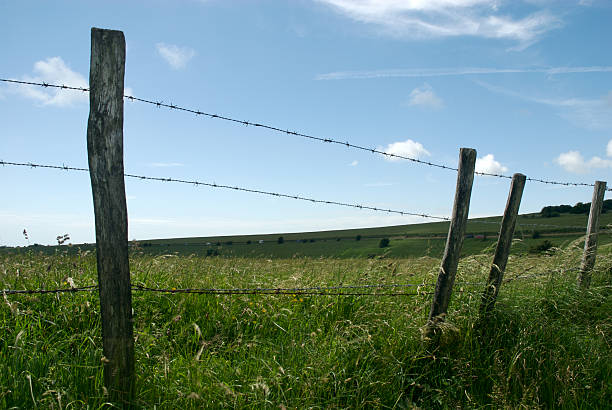 istock fence in the country 91390831