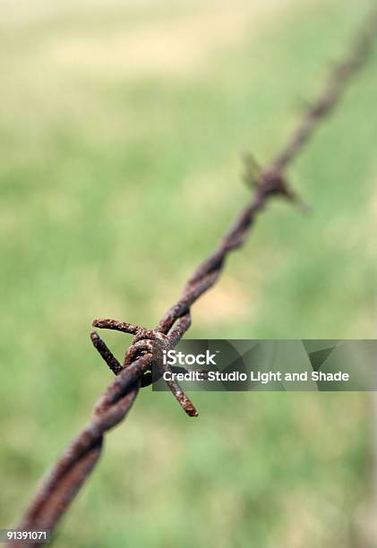 Foto de Detalhe De Arame Farpado Enferrujado e mais fotos de stock de Antigo - Antigo, Arame, Arame farpado - Arame