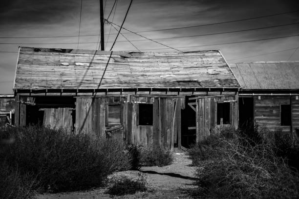 istock Cabin and Tumbleweeds 913912036