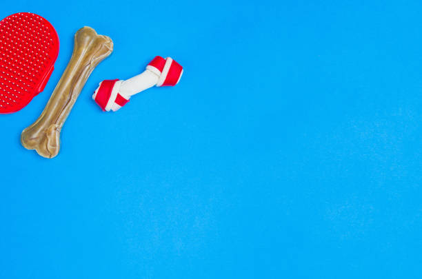 istock Dog food and accessories on blue background top view 913934346