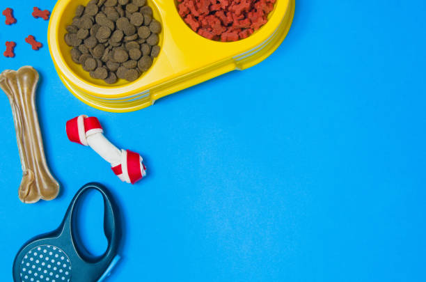 istock Dog food and accessories on blue background top view 913934412