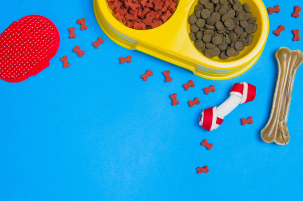 istock Dog food and accessories on blue background top view 913934454