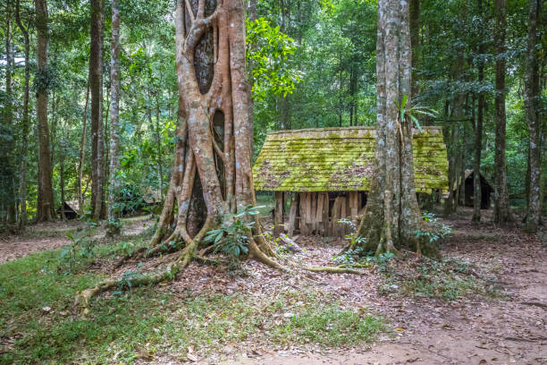 istock Wooden hut in rainforest 913943370